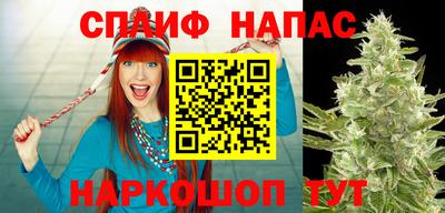 ПСИЛОЦИБИНОВЫЕ ГРИБЫ Железногорск