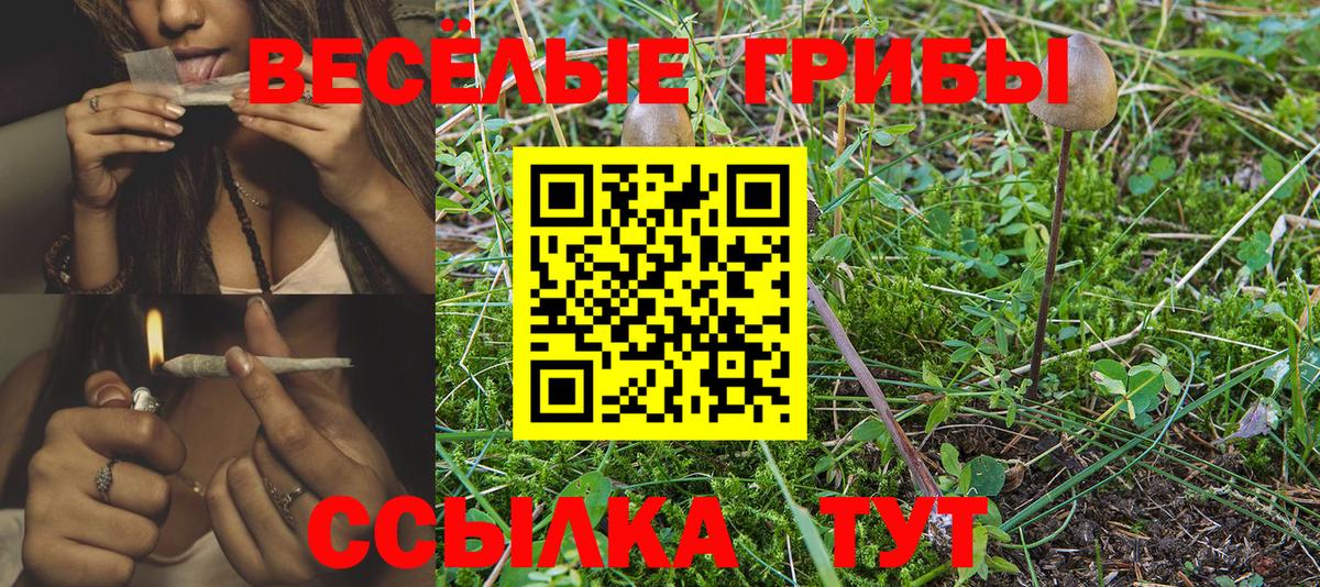 Галлюциногенные грибы GOLDEN TEACHER Краснокамск